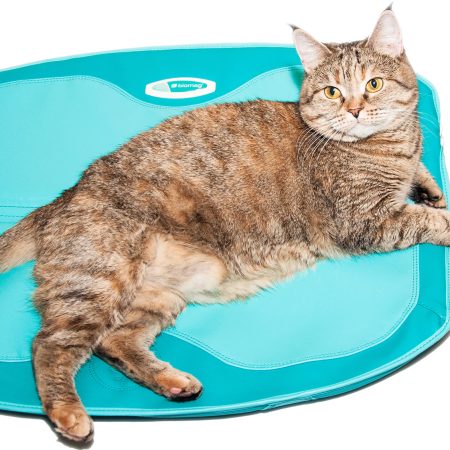 Бимаг Прибор Инструкция